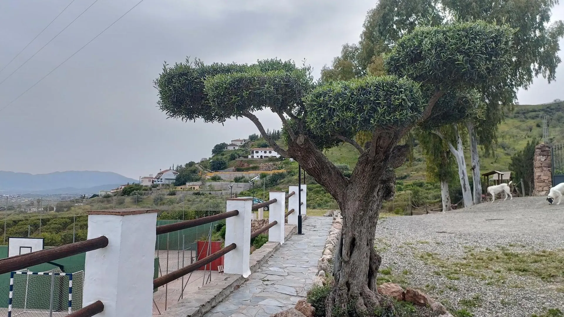 La Cochera Málaga